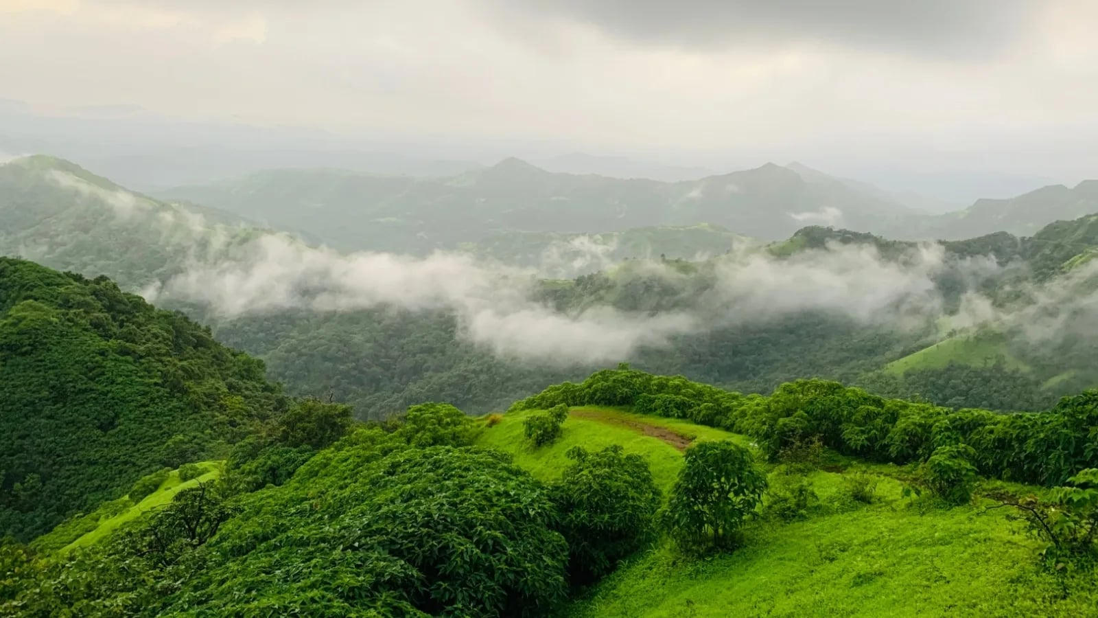 *ಕಸ್ತೂರಿ ರಂಗನ್ ವರದಿ ಜಾರಿ ಬೇಡ; ರೈತರ ಬದುಕು ಬೀದಿಗೆ ಬೀಳಲಿದೆ*